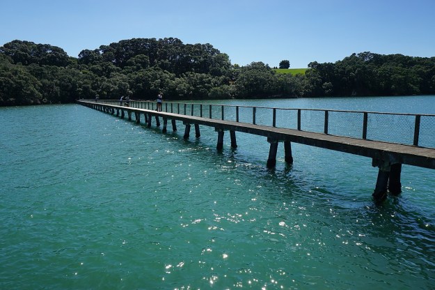 DSC03561_KauriPt_OngarePt