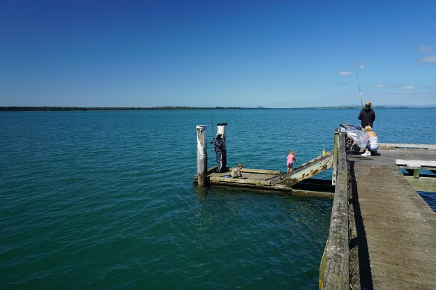 DSC03564_KauriPt_OngarePt