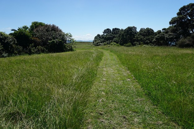 DSC03574_KauriPt_OngarePt