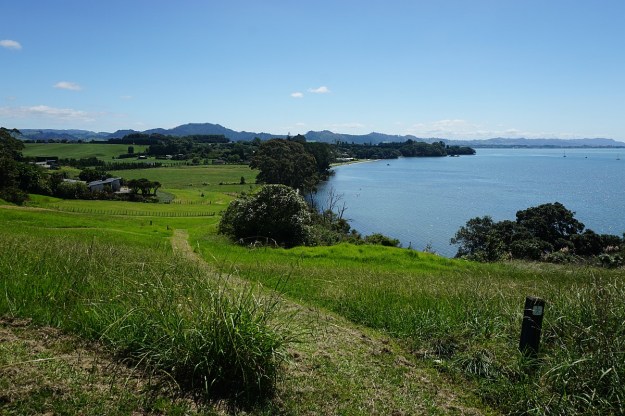 DSC03577_KauriPt_OngarePt