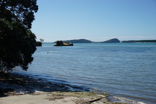 DSC03583_KauriPt_OngarePt