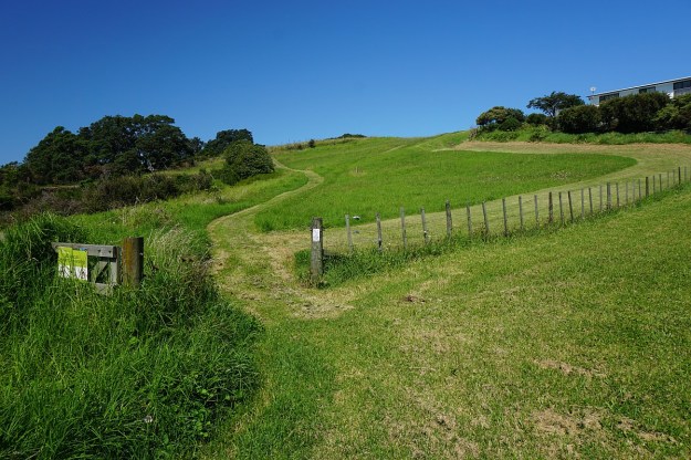 DSC03586_KauriPt_OngarePt