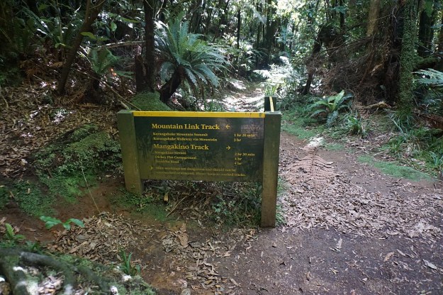 DSC03601_Dickey_Mangakino