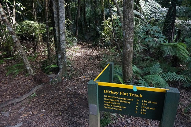 DSC03625_Dickey_Mangakino