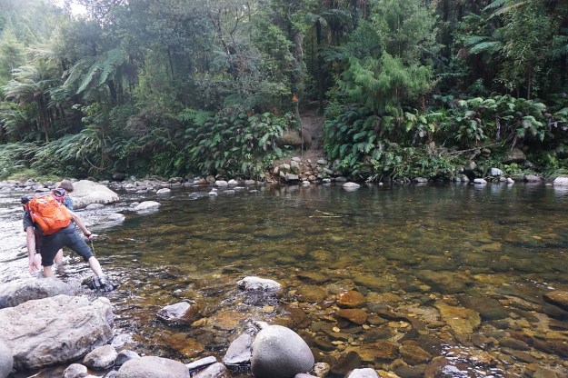 DSC03628_Dickey_Mangakino