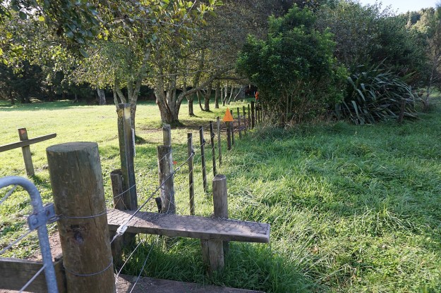 DSC03647_Dickey_Mangakino