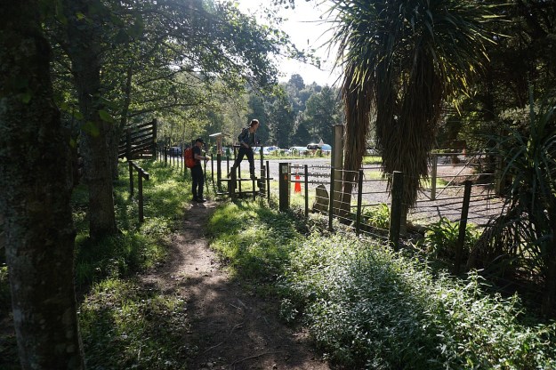 DSC03649_Dickey_Mangakino