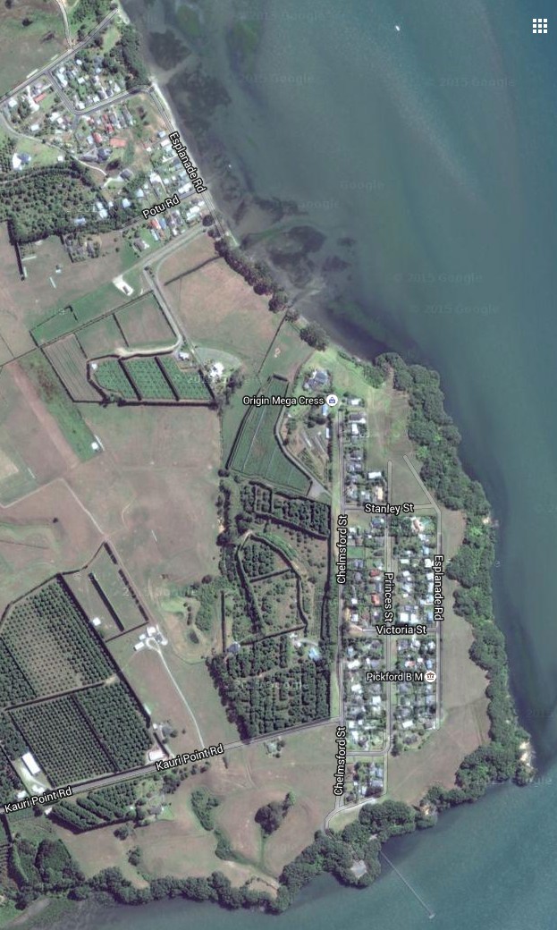 Sat_KauriPt_OngarePt