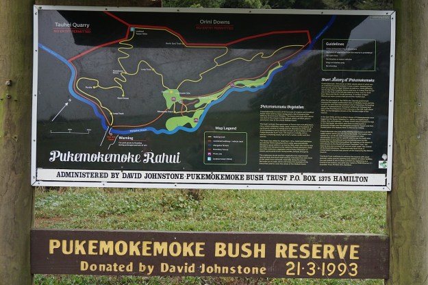 DSC03784_Pukemokemoke