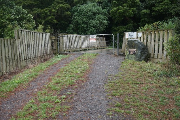 DSC03786_Pukemokemoke