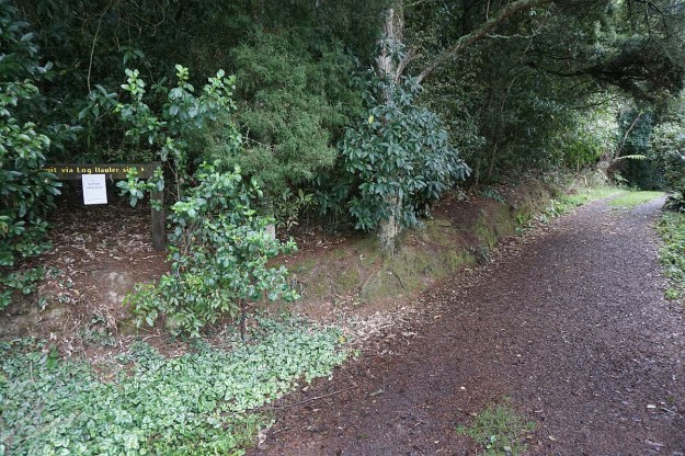 DSC03790_Pukemokemoke