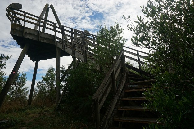 DSC03806_Pukemokemoke