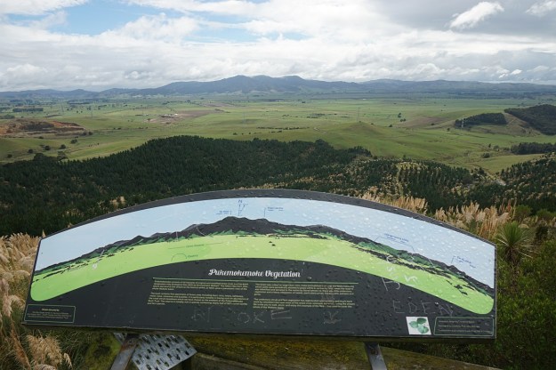 DSC03810_Pukemokemoke