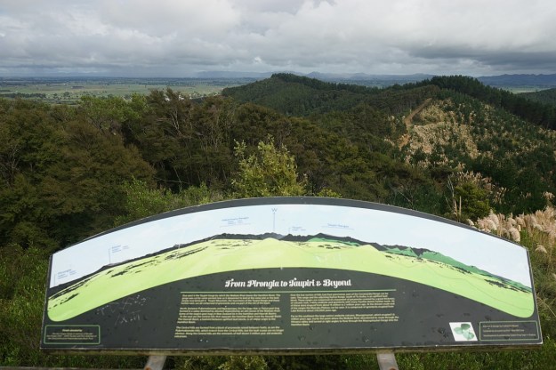 DSC03813_Pukemokemoke