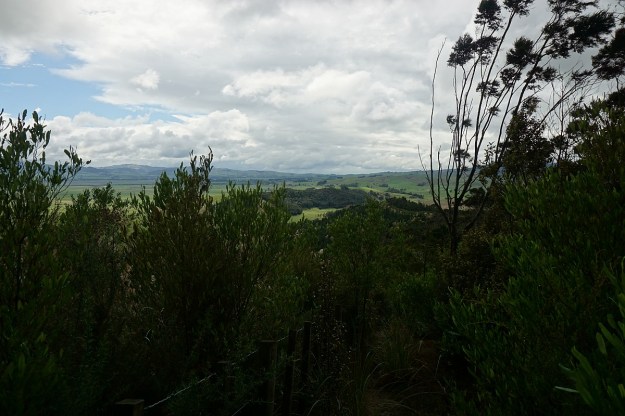 DSC03817_Pukemokemoke