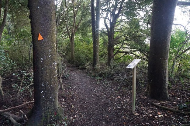 DSC03829_Pukemokemoke