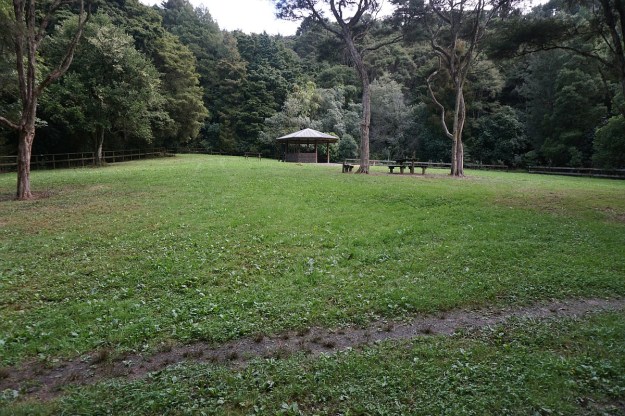 DSC03835_Pukemokemoke