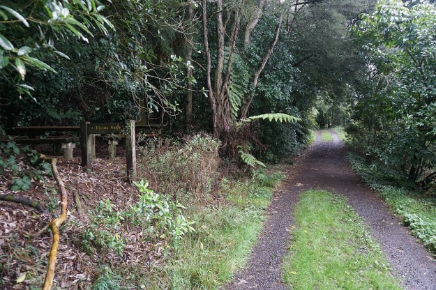 DSC03849_Pukemokemoke