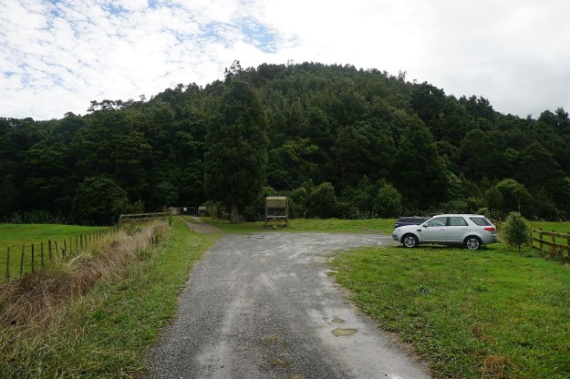 DSC03857_Pukemokemoke