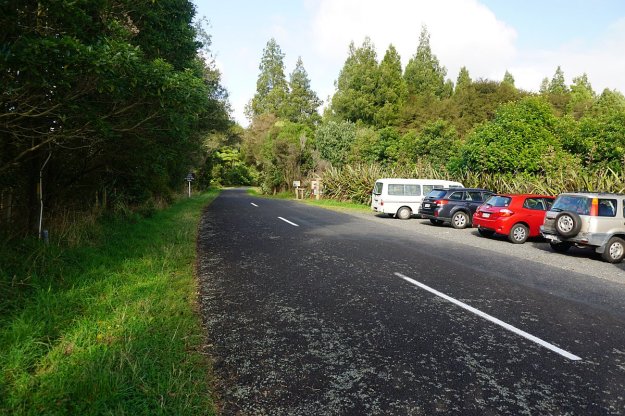 DSC03905_WaitawhetaTramway