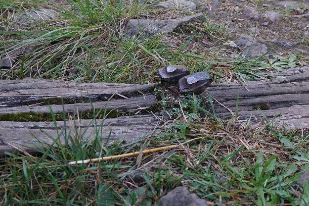 DSC03917_WaitawhetaTramway