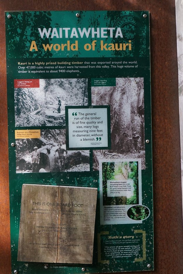 DSC03918_WaitawhetaTramway