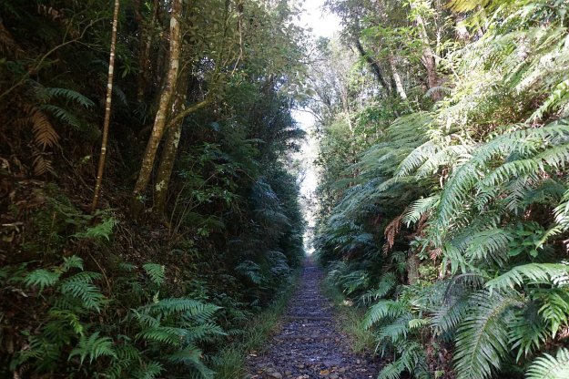 DSC03962_WaitawhetaTramway