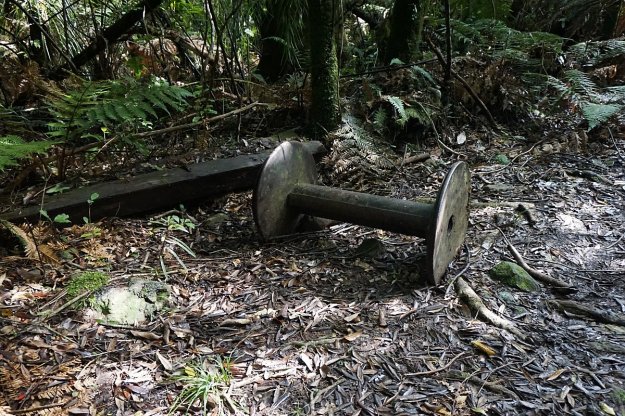 DSC03978_WaitawhetaTramway