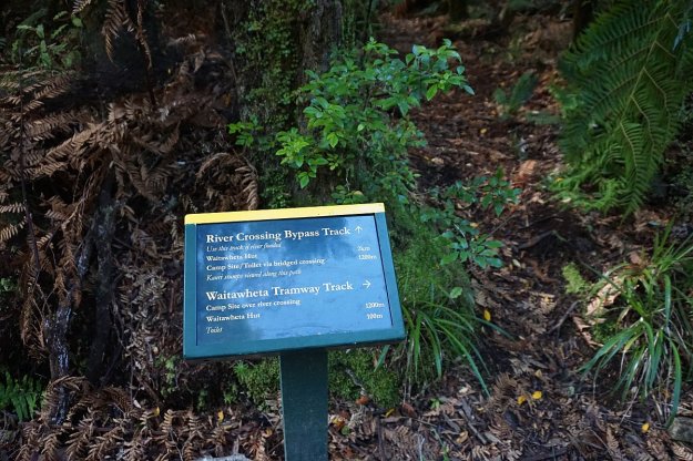 DSC03980_WaitawhetaTramway