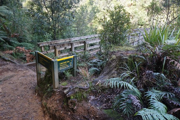 DSC03989_WaitawhetaTramway