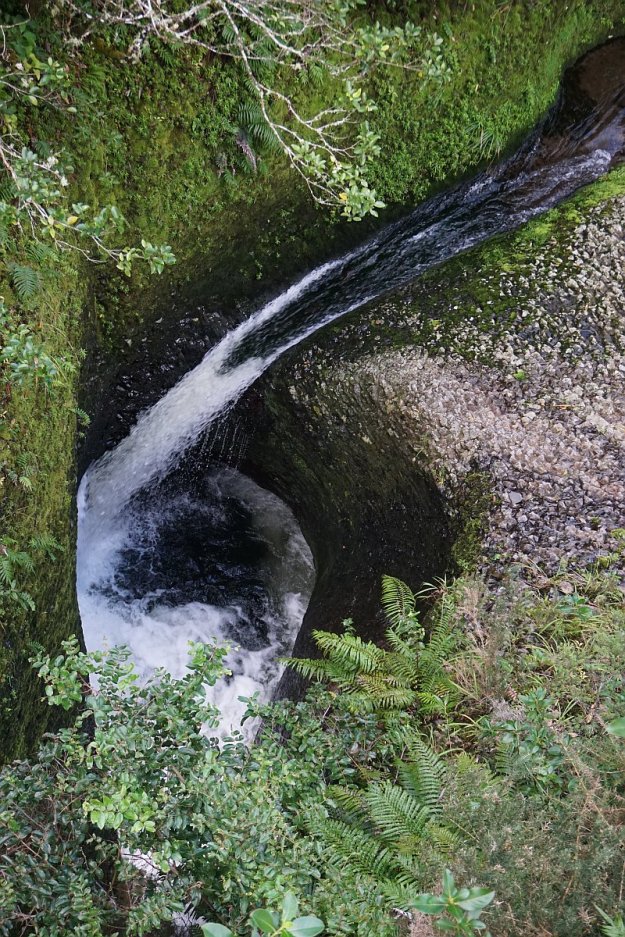 DSC03996_WaitawhetaTramway