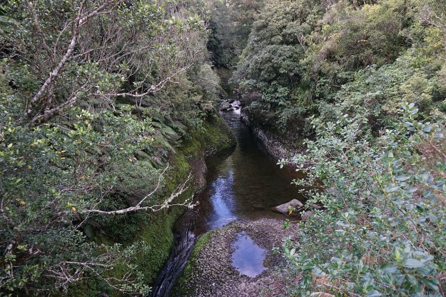 DSC03997_WaitawhetaTramway