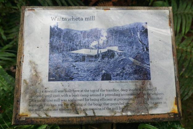 DSC04000_WaitawhetaTramway