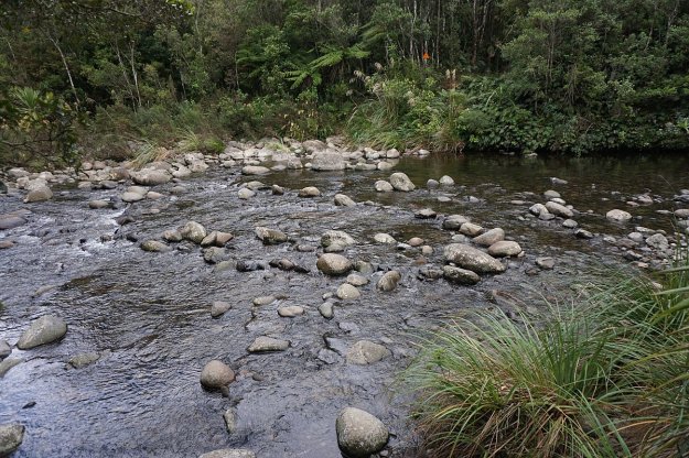 DSC04015_WaitawhetaTramway