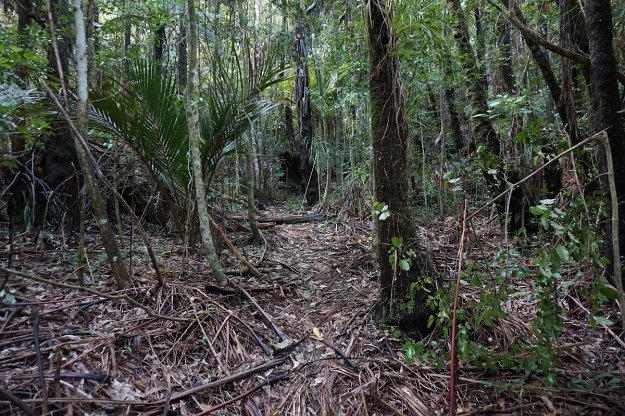 DSC04019_WaitawhetaTramway