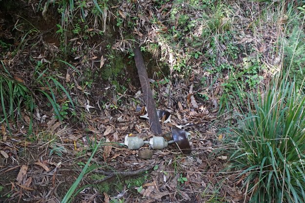 DSC04020_WaitawhetaTramway