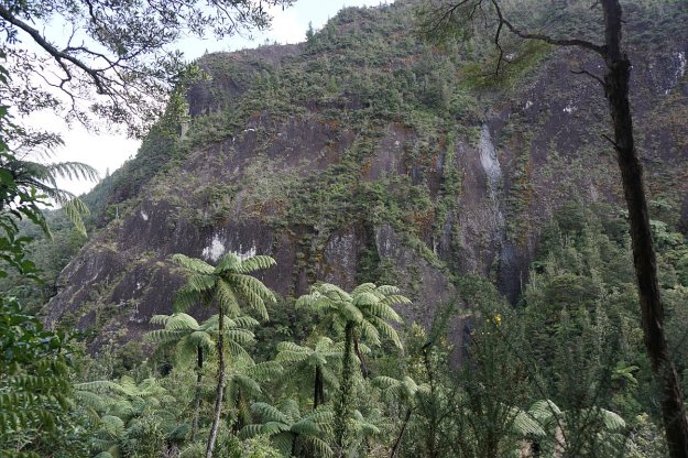 DSC04022_WaitawhetaTramway