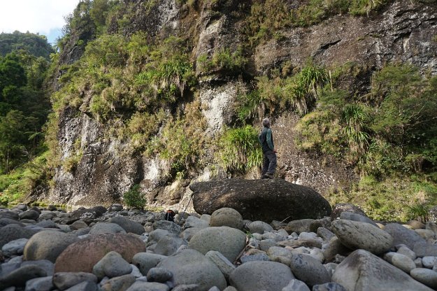 DSC04029_WaitawhetaTramway