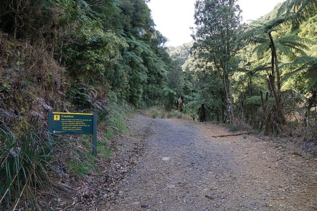 DSC04077_MtTeAroha_Tui