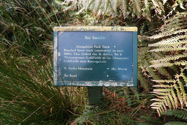 DSC04096_MtTeAroha_Tui