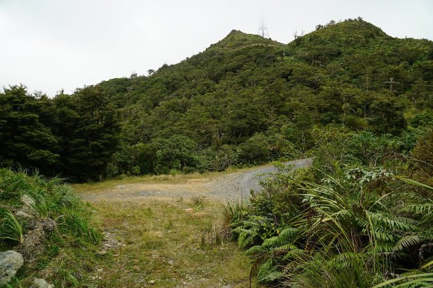 DSC04115_MtTeAroha_Tui