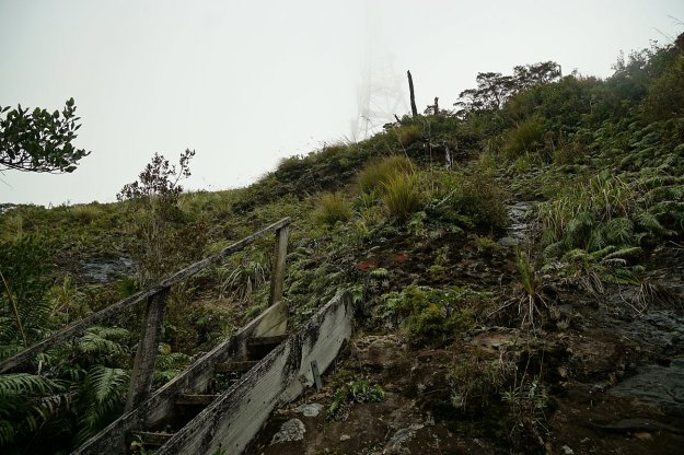 DSC04127_MtTeAroha_Tui