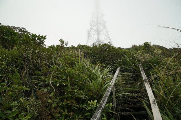 DSC04134_MtTeAroha_Tui