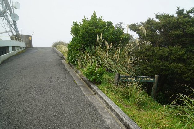 DSC04137_MtTeAroha_Tui