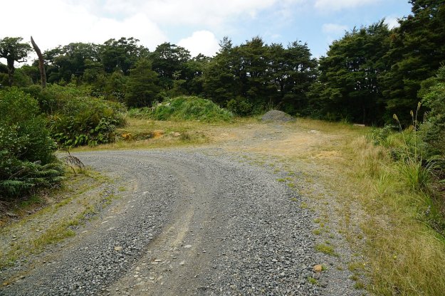 DSC04153_MtTeAroha_Tui