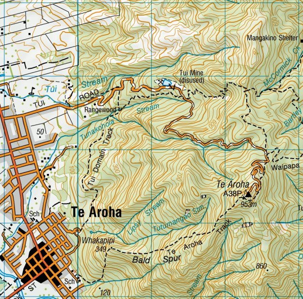 Topo_MtTeAroha_Tui