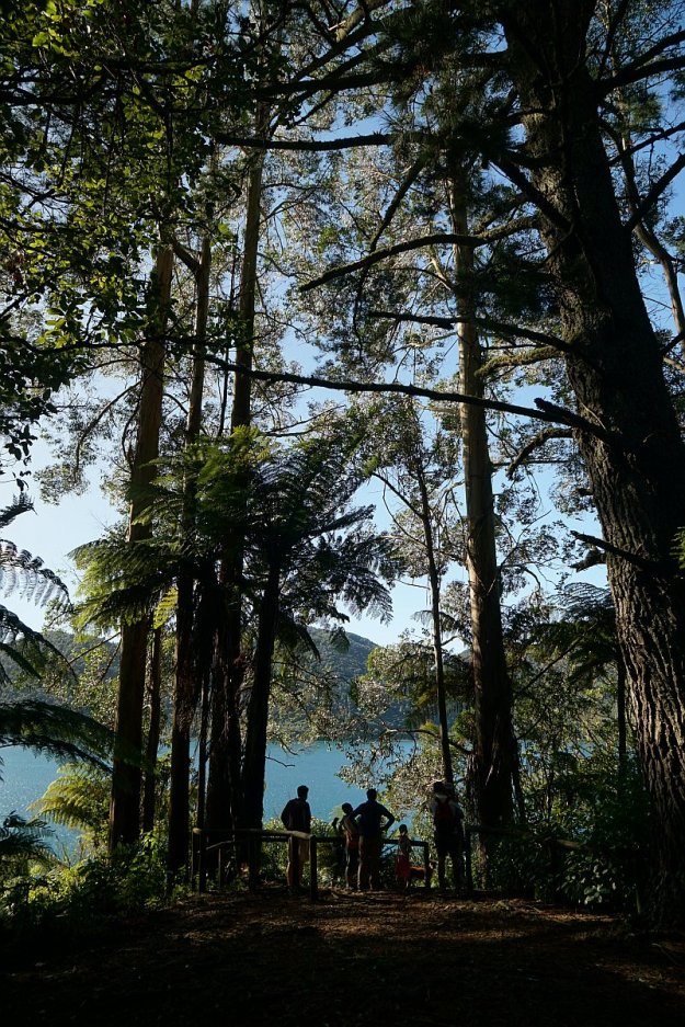 DSC04227_TikitapuBlueLake