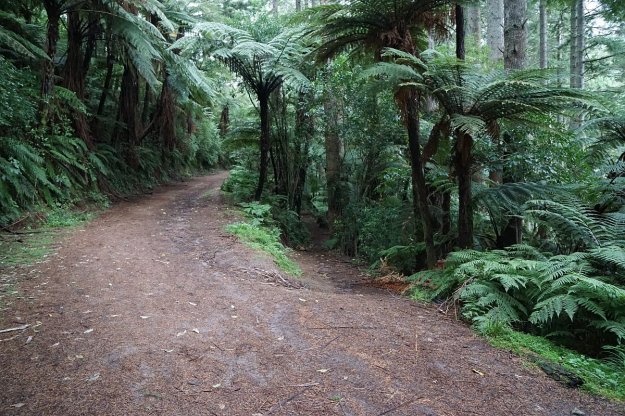 DSC04232_TikitapuBlueLake