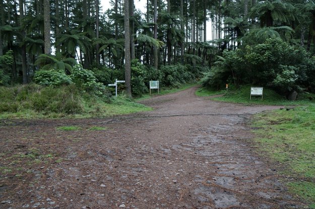 DSC04233_TikitapuBlueLake