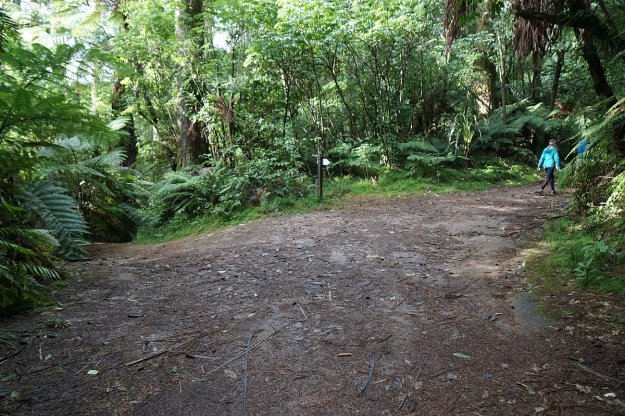 DSC04238_TikitapuBlueLake